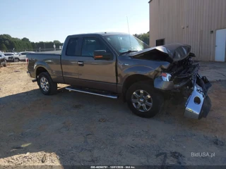 FORD FORD F-150 XLT