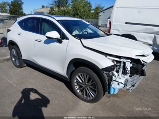 LEXUS LEXUS NX 350 PREMIUM