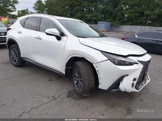 LEXUS LEXUS NX 350