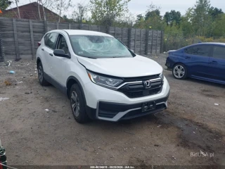 HONDA HONDA CR-V AWD LX
