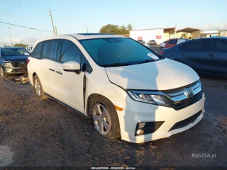 HONDA HONDA ODYSSEY