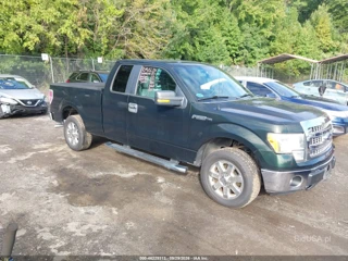 FORD FORD F-150 XLT