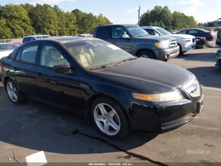 ACURA ACURA TL