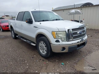 FORD FORD F-150 FX2 SPORT/HARLEY-DAVIDSON/KING RANCH/LARIAT/PLATINUM/XL/XLT