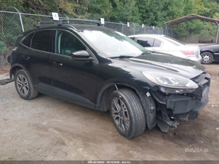 FORD FORD ESCAPE SEL