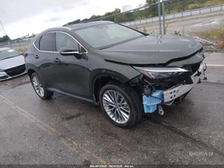 LEXUS LEXUS NX 350H PREMIUM