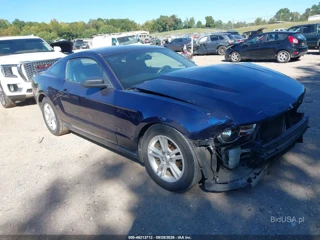 FORD FORD MUSTANG V6