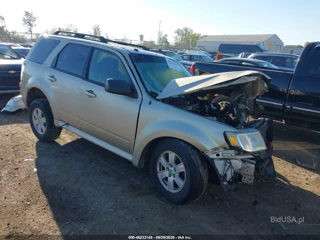 MERCURY MERCURY MARINER