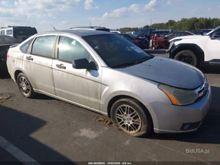 FORD FORD FOCUS SE