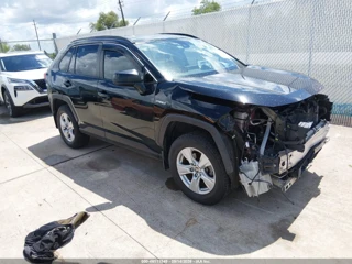 TOYOTA TOYOTA RAV4 HYBRID LE