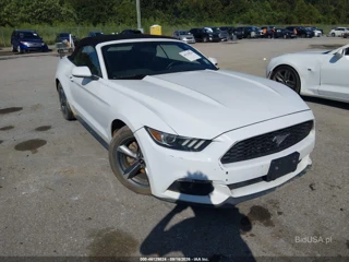 FORD FORD MUSTANG V6
