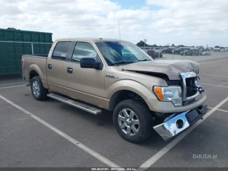 FORD FORD F-150 XLT