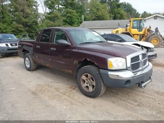 DODGE DODGE DAKOTA SLT