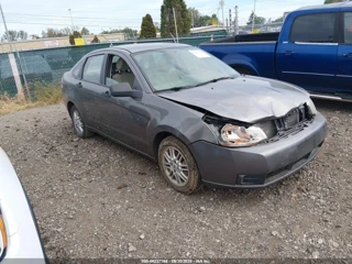 FORD FORD FOCUS SE