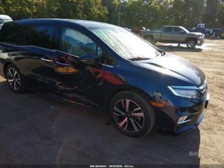HONDA HONDA ODYSSEY ELITE