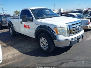 FORD FORD F-150 XL