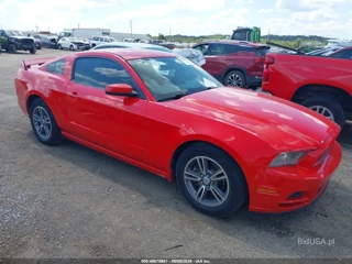 FORD FORD MUSTANG V6 PREMIUM
