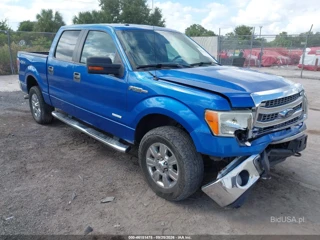 FORD FORD F-150 XLT