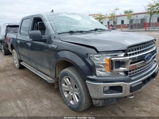 FORD FORD F-150 XLT