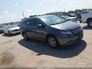 HONDA HONDA ODYSSEY SE