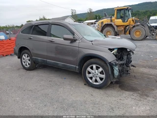 HONDA HONDA CR-V EX-L