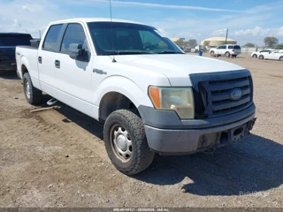 FORD FORD F-150 XL/XLT