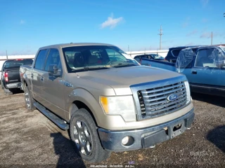 FORD FORD F-150 FX4/HARLEY-DAVIDSON/KING RANCH/LARIAT/PLATINUM/XL/XLT