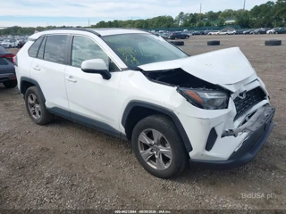 TOYOTA TOYOTA RAV4 XLE