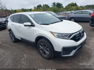 HONDA HONDA CR-V AWD EX-L