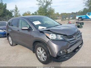 HONDA HONDA CR-V EX
