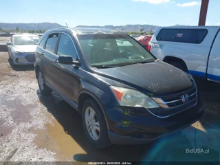 HONDA HONDA CR-V EX-L