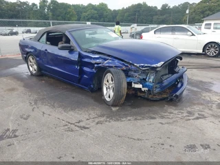 FORD FORD MUSTANG V6
