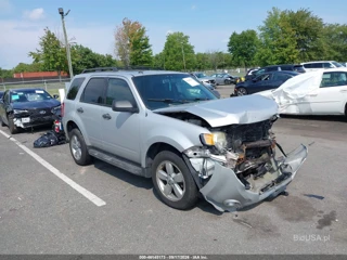 FORD FORD ESCAPE XLT