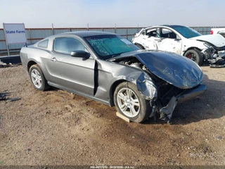 FORD FORD MUSTANG V6/V6 PREMIUM