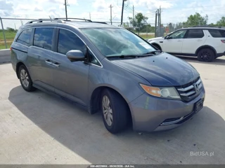 HONDA HONDA ODYSSEY EX-L