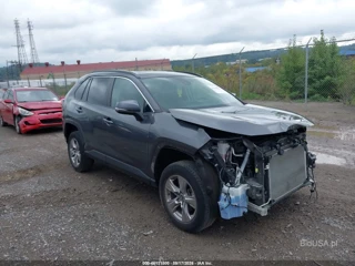 TOYOTA TOYOTA RAV4 XLE