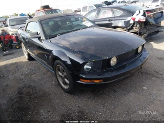 FORD FORD MUSTANG V6