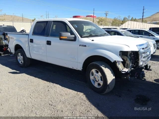 FORD FORD F-150 XLT