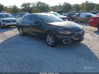 CHEVROLET CHEVROLET MALIBU 1FL