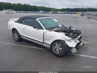 FORD FORD MUSTANG V6