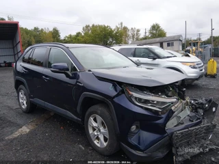 TOYOTA TOYOTA RAV4 HYBRID XLE
