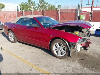 FORD FORD MUSTANG V6