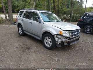 FORD FORD ESCAPE XLT
