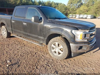 FORD FORD F-150 XLT