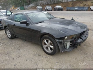 FORD FORD MUSTANG V6 PREMIUM