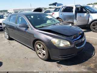 CHEVROLET CHEVROLET MALIBU 1LT