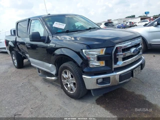 FORD FORD F-150 XLT