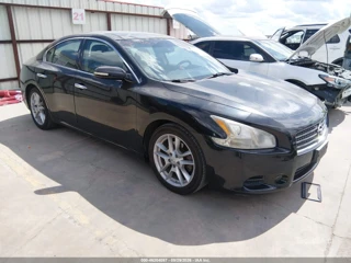 NISSAN NISSAN MAXIMA 3.5 SV