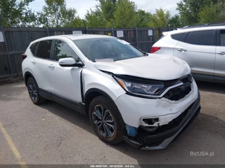 HONDA HONDA CR-V AWD EX