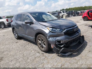 HONDA HONDA CR-V EX